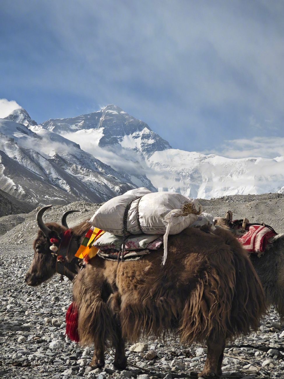 Prayer flags in the Himalaya