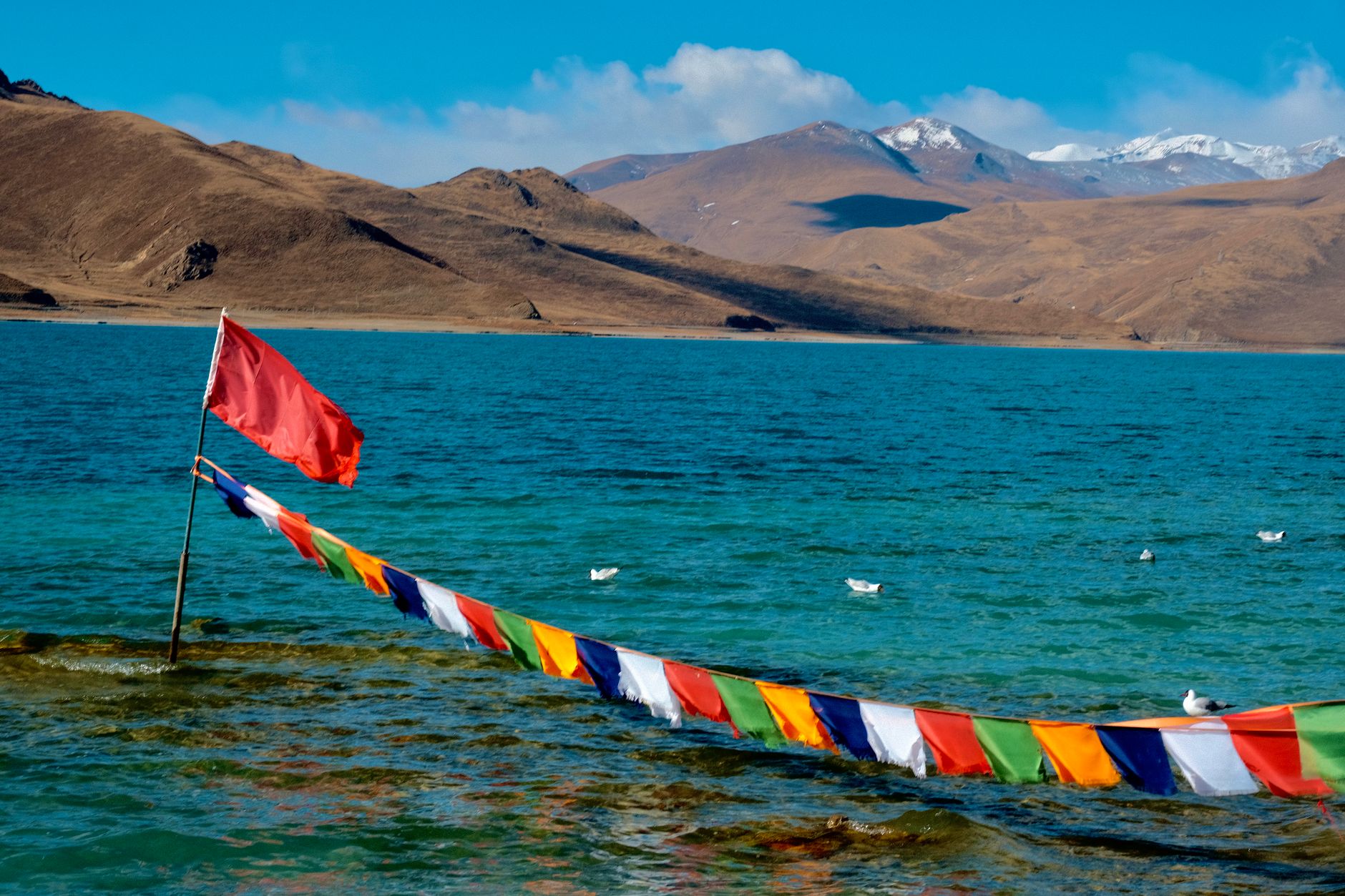 Kailash Man Sarovar Trip