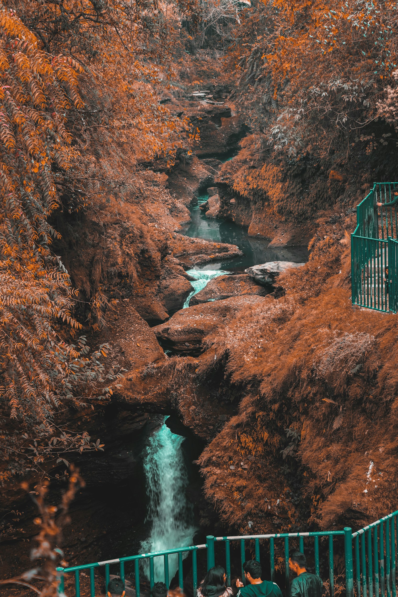 Nepal Tour